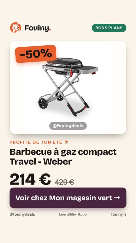 Barbecue à gaz compact Travel - Weber