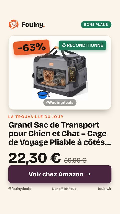 Grand Sac de Transport pour Chien et Chat – Cage de Voyage Pliable à côtés Souples pour Chien de 12 kg Maximum avec gamelle Pliable, bandoulière et Poches de Rangement, Gris,M L 60 x l 42 x H 42 cm