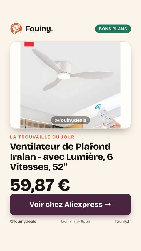 Ventilateur de Plafond Iralan - avec Lumière, 6 Vitesses, 52"