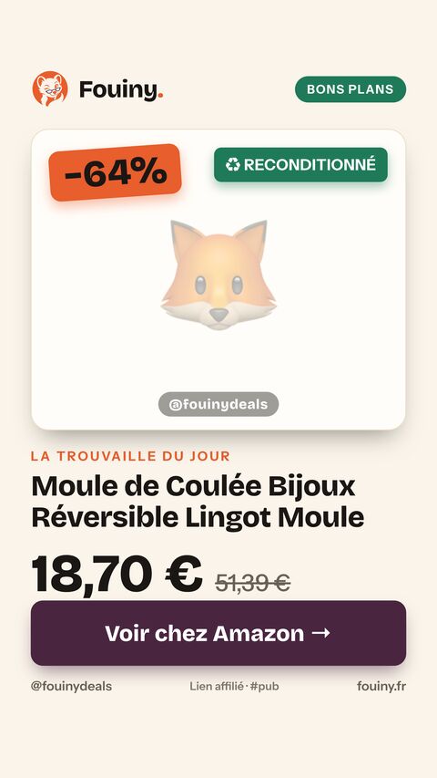 Moule de Coulée Bijoux Réversible Lingot Moule
