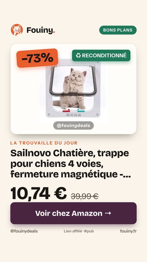 Sailnovo Chatière, trappe pour chiens 4 voies, fermeture magnétique -Pour Chats, gros chiens - 23,5 x 25 x 5,4 cm - Trappe pour chiens, chatière, installation facile avec cadre télescopique L: 18 * 19 * 5.5 cm