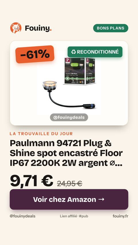 Paulmann 94721 Plug & Shine spot encastré Floor IP67 2200K 2W argent ⌀ 70mm