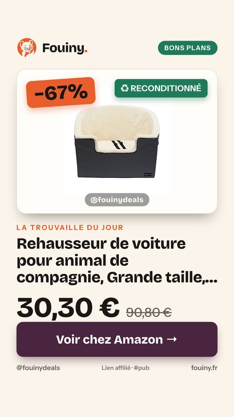 Rehausseur de voiture pour animal de compagnie, Grande taille, 45,7 x 55,8 x 40,6 cm, gris Grande taille