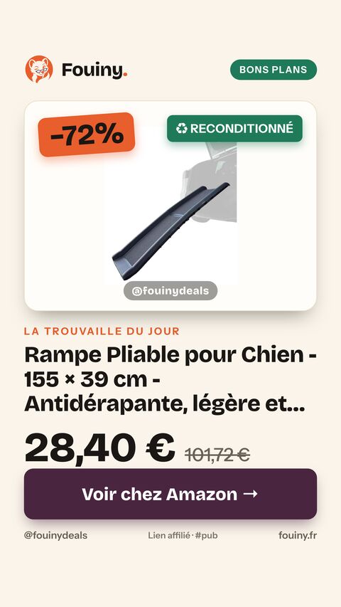 Rampe Pliable pour Chien - 155 × 39 cm - Antidérapante, légère et Stable - pour Chiens jusqu'à 90 kg 155 cm