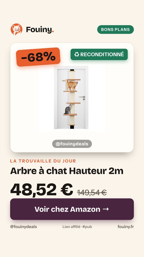 Arbre à chat Hauteur 2m