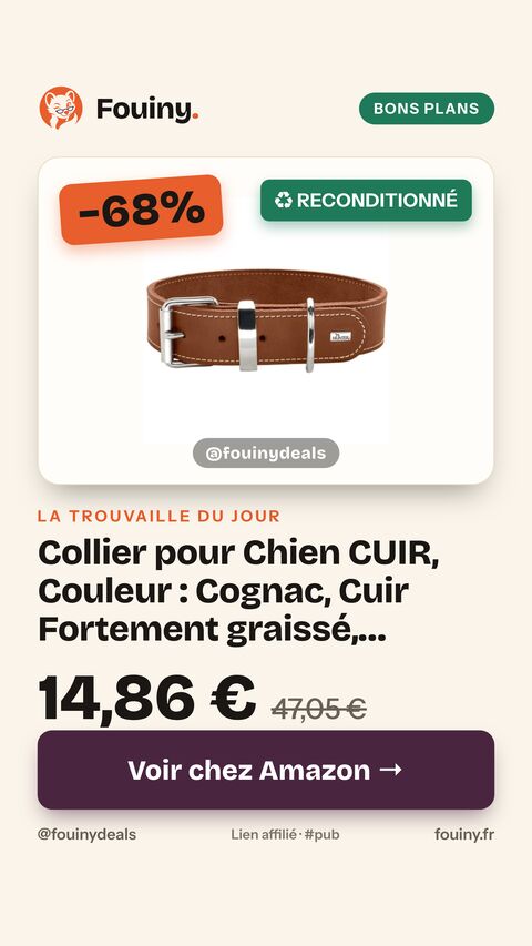 Collier pour Chien CUIR, Couleur : Cognac, Cuir Fortement graissé, Robuste & résistant, surpiqûres contrastées, idéal pour Le Sport canin, Made in Germany, Taille : 65 65
